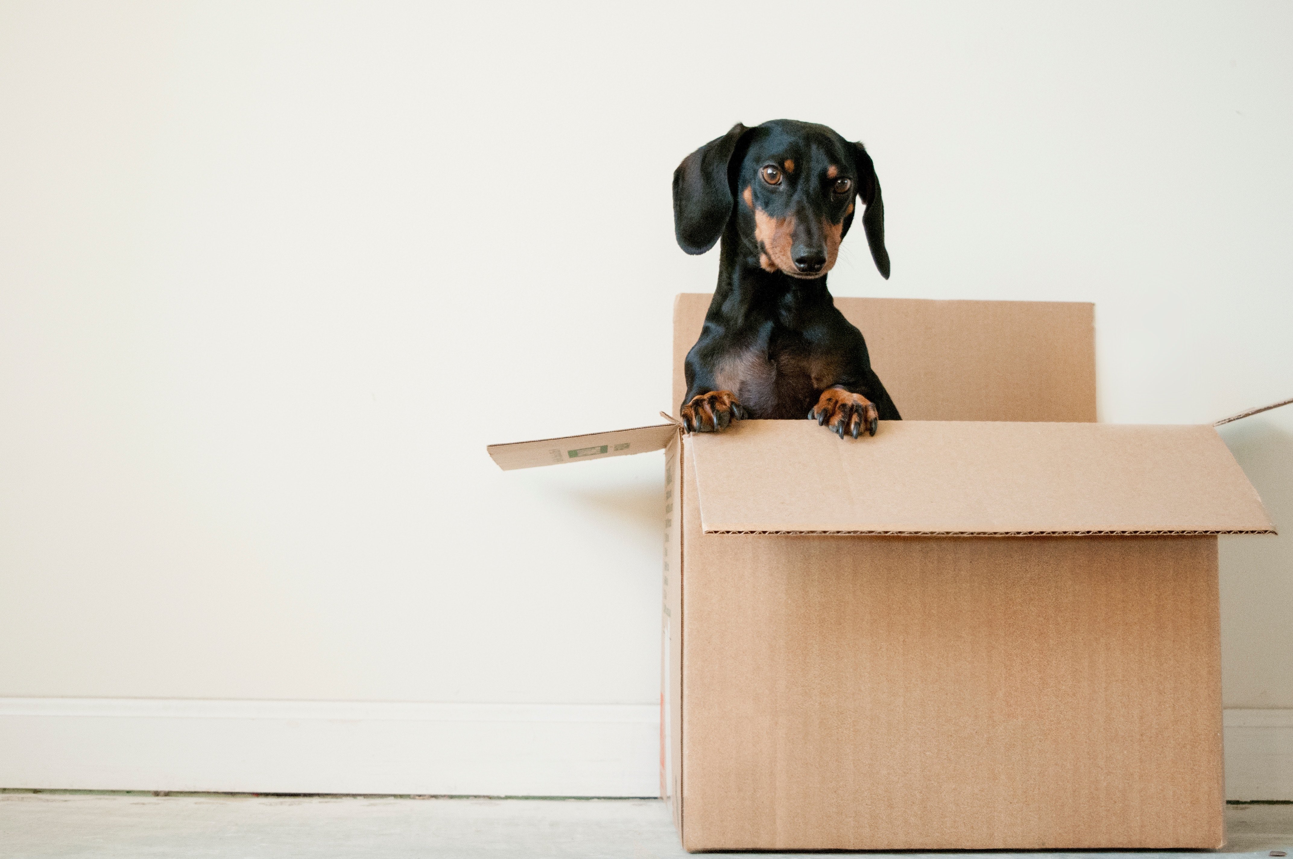 Unpacking Reactions